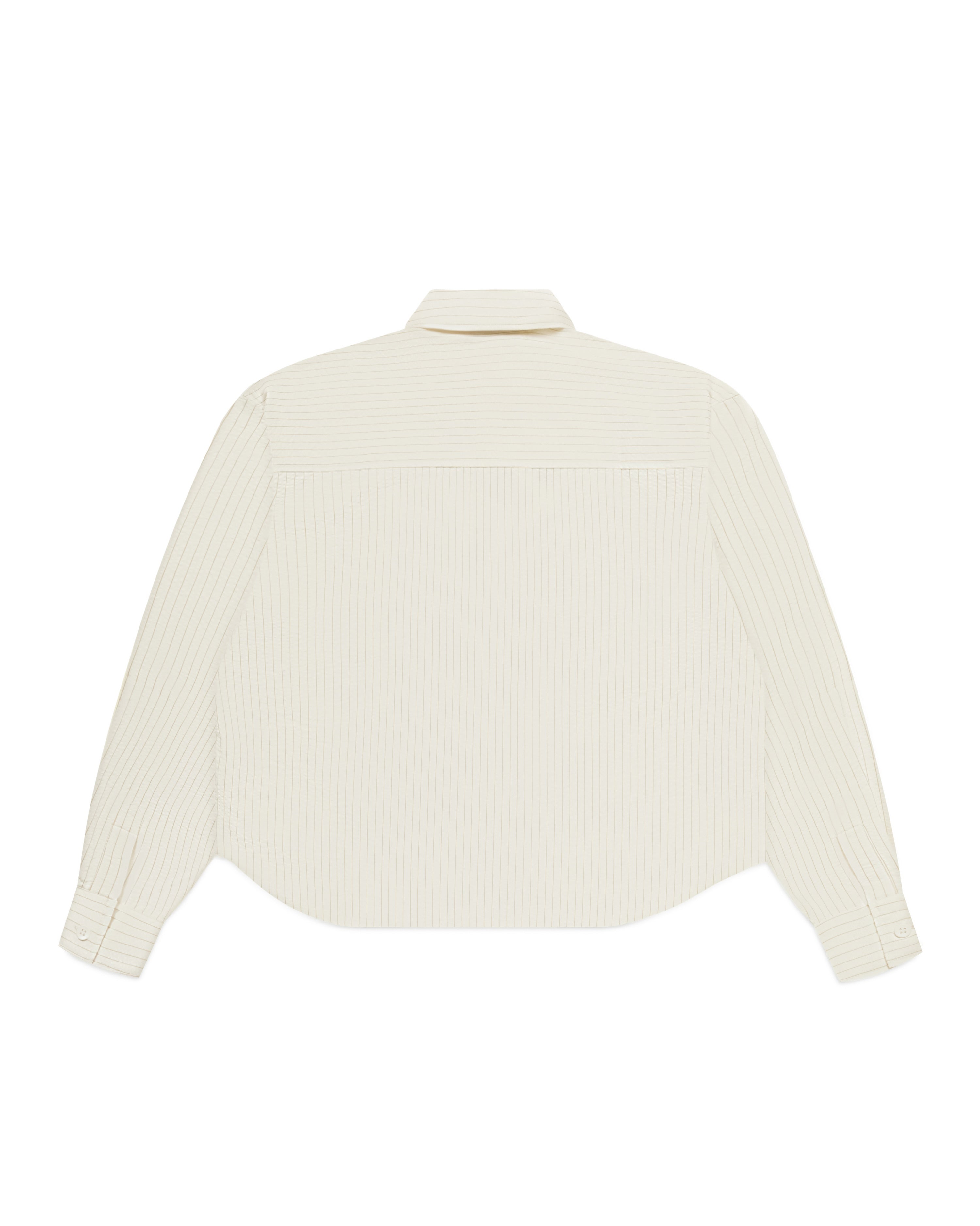 Striped Signature Long Sleeve Shirt - Cream/Brown